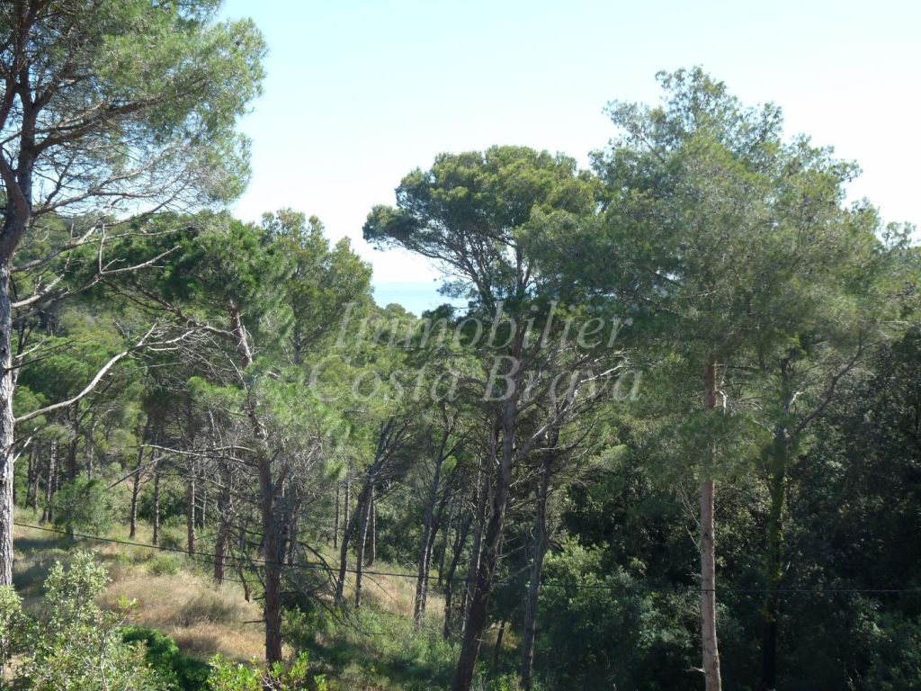 Terreno en venta en Begur