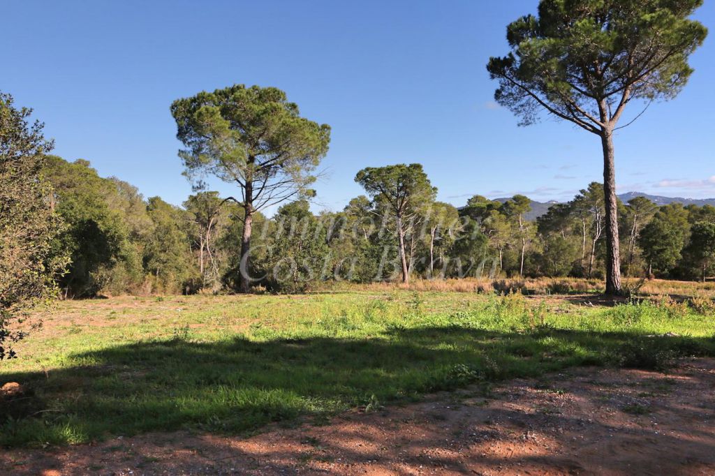 Terreny en venda a Torrent, Baix Empordà