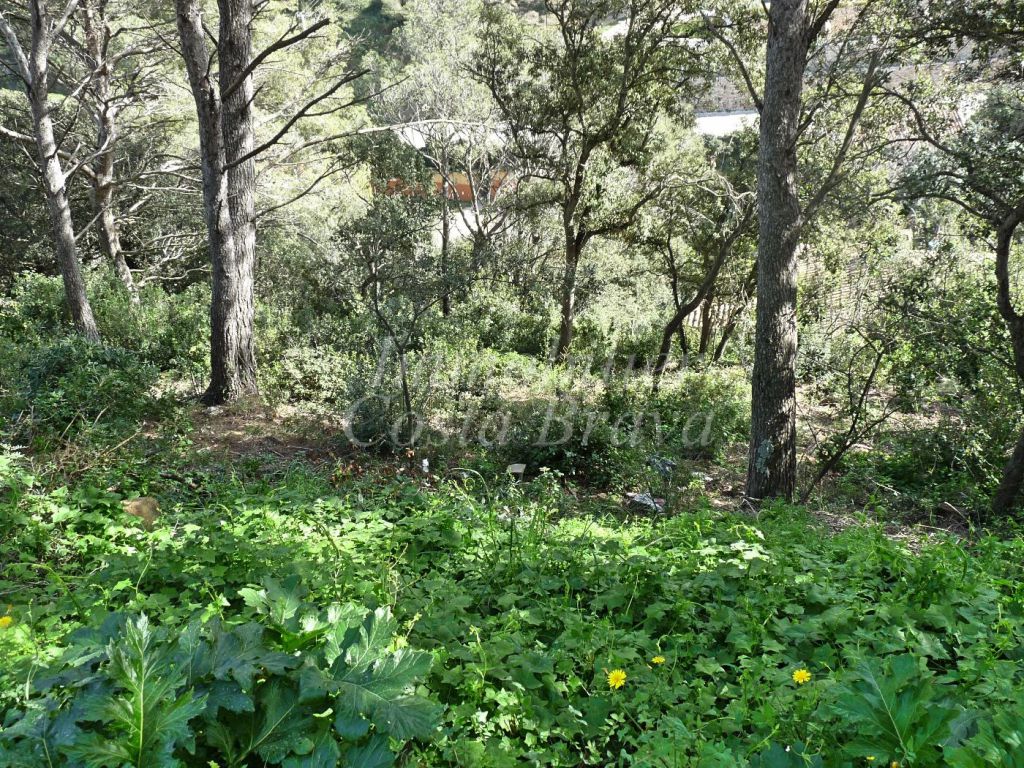 Terrain à vendre à Sa Riera, Begur