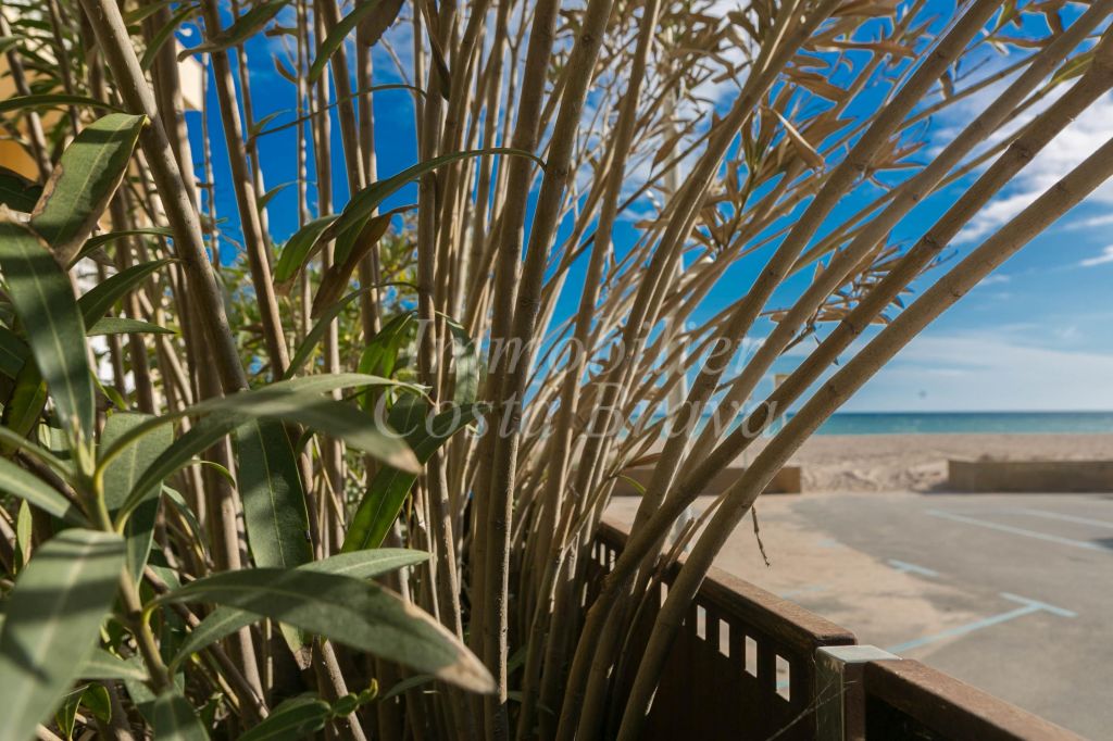 Apartamento en venta en Playa de Pals, Pals